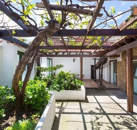 Casa Aureliano Patio Canario *